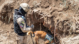 צוותי החילוץ באזור מפולת הבוץ, צילום: Miguel Gutierrez